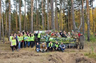Волонтёры Рязанского отделения Сбербанка высадили 10 тысяч сосен в Шиловском районе